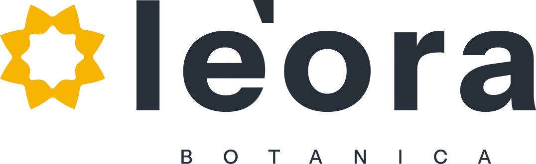 Le'ora Botanica – rooted in light, crafted with intention